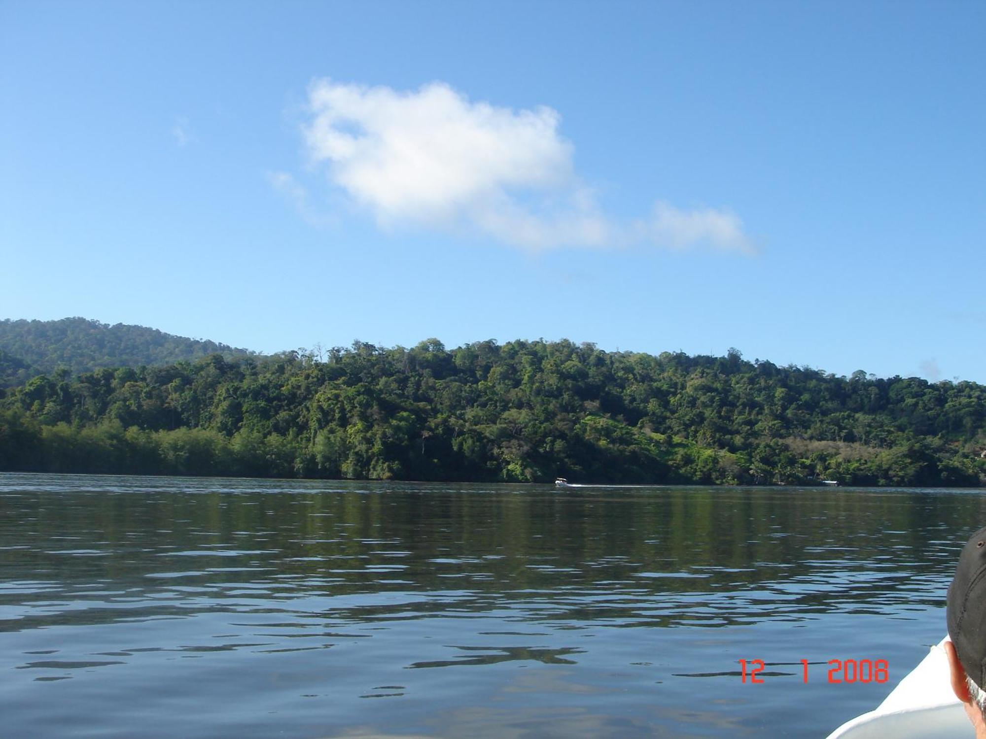 Isla Violin Eco-Lodge Drakes Bay Εξωτερικό φωτογραφία