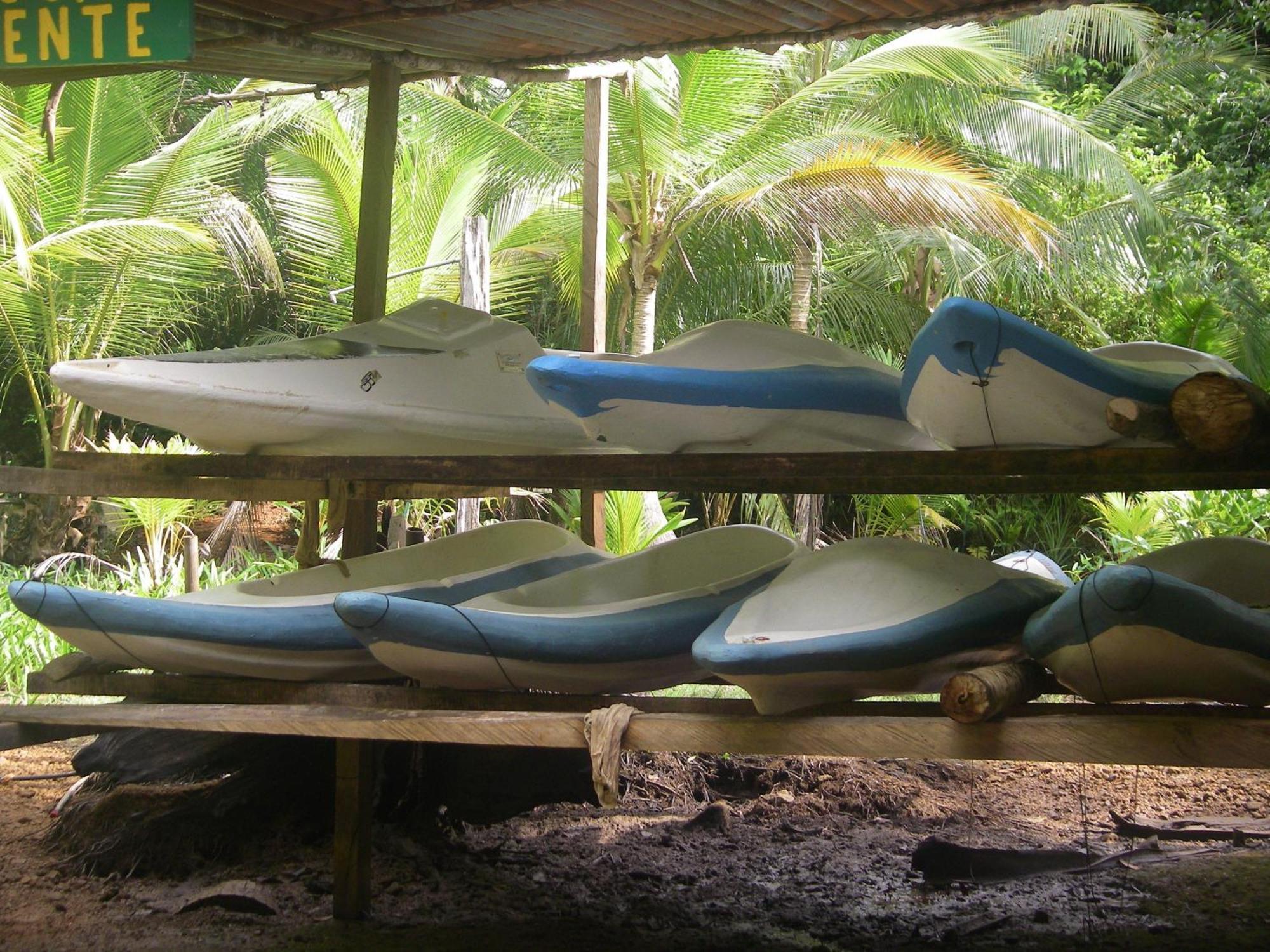 Isla Violin Eco-Lodge Drakes Bay Εξωτερικό φωτογραφία